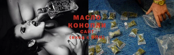 индика Наволоки