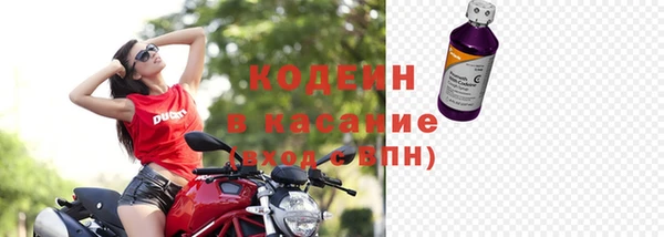 индика Наволоки