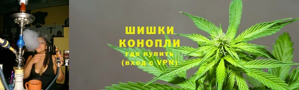 индика Наволоки