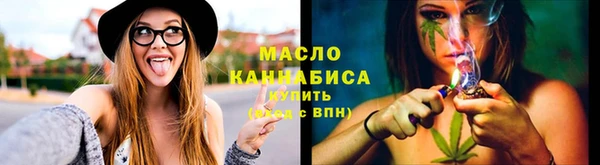 индика Наволоки