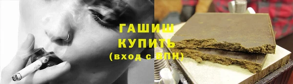 стафф Гатчина