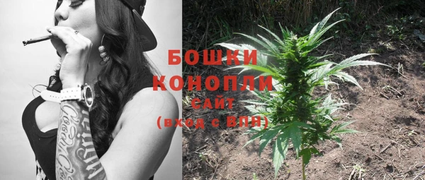 стафф Гатчина