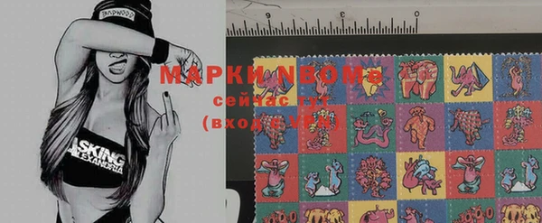 спайс Галич