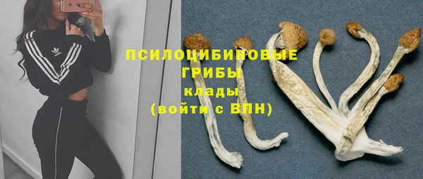 метамфетамин Гвардейск